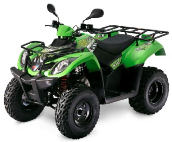 Quad Bike 50cc